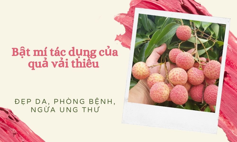 Tác dụng của quả vải thiểu
