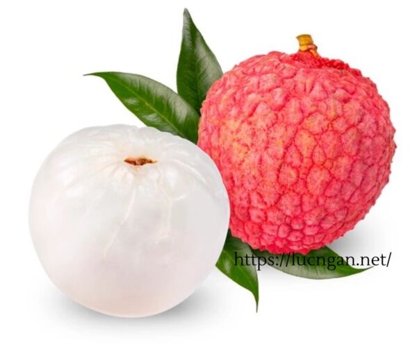 trái vải thiều