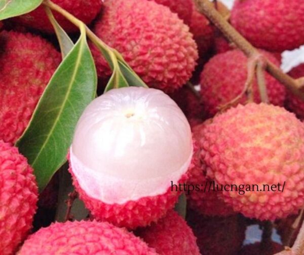 vải thiều tháng mấy
