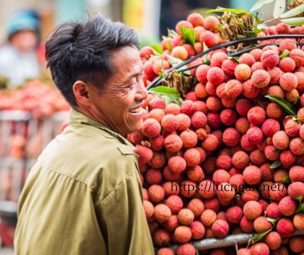 vải thiều tháng mấy