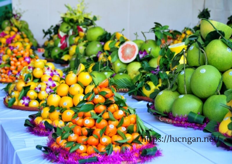 Ngày hội trái cây Lục Ngạn