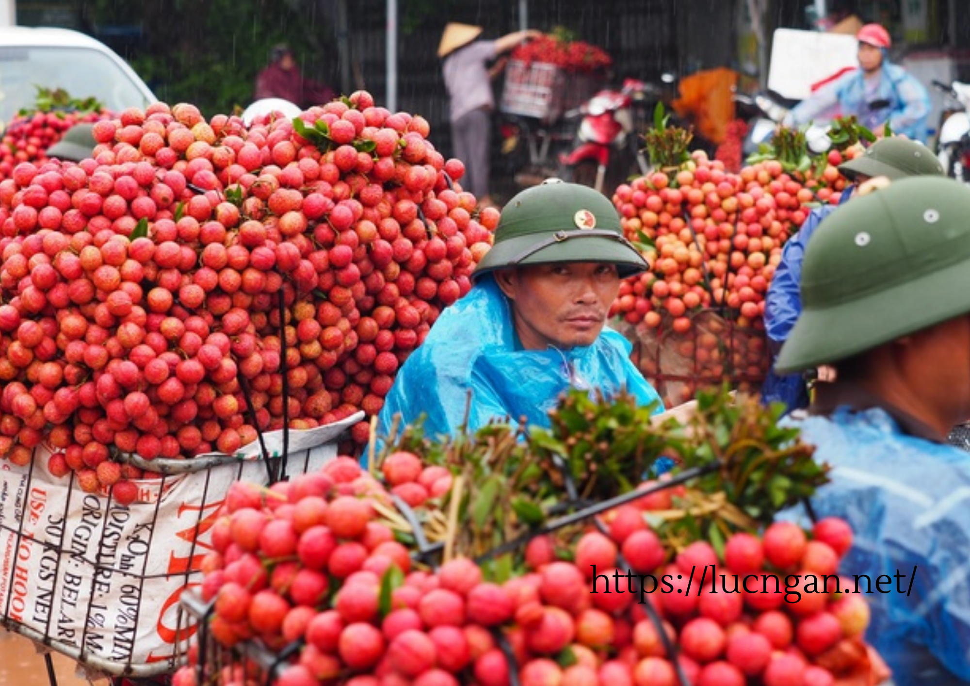 nông sản mùa dịch