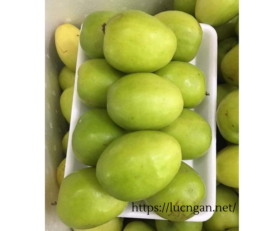 táo xuân lục ngạn