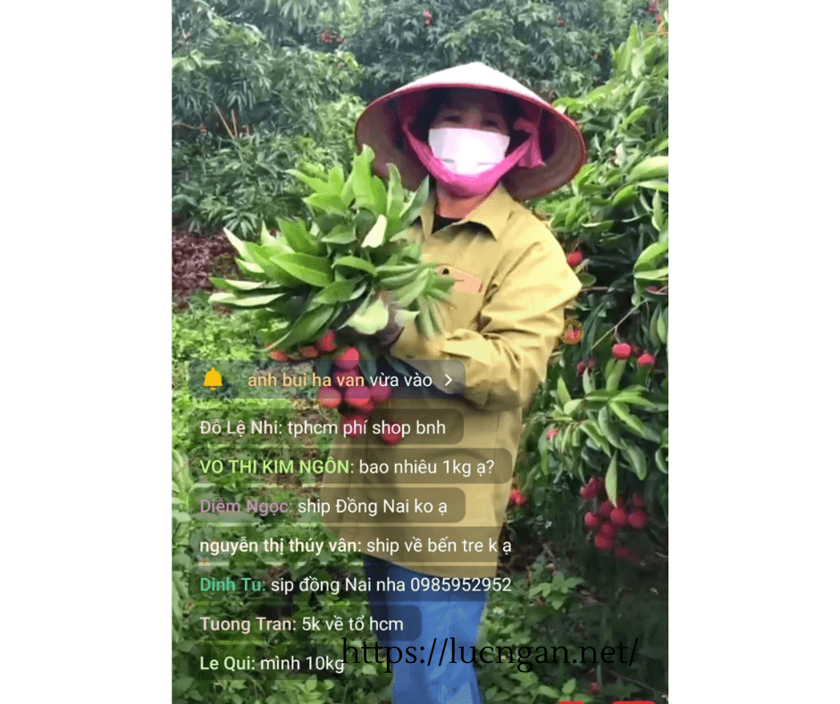 bán vải thiều 