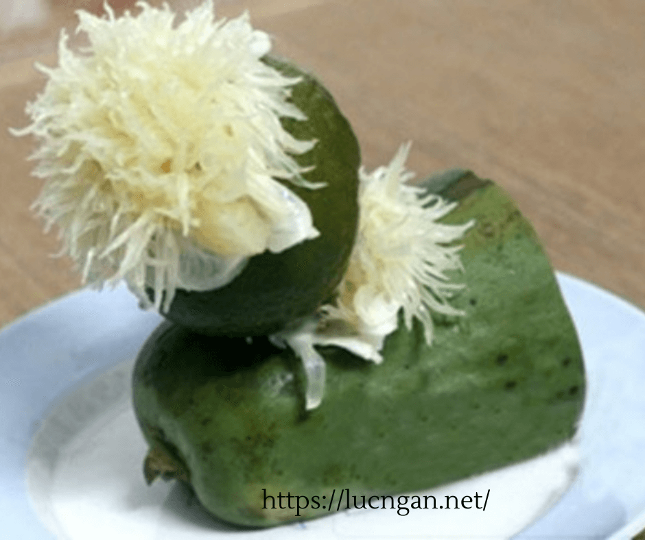 chó bưởi