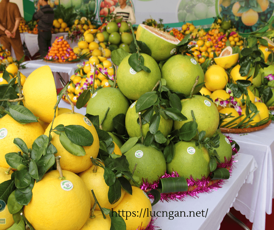 tiêu thụ cam bưởi