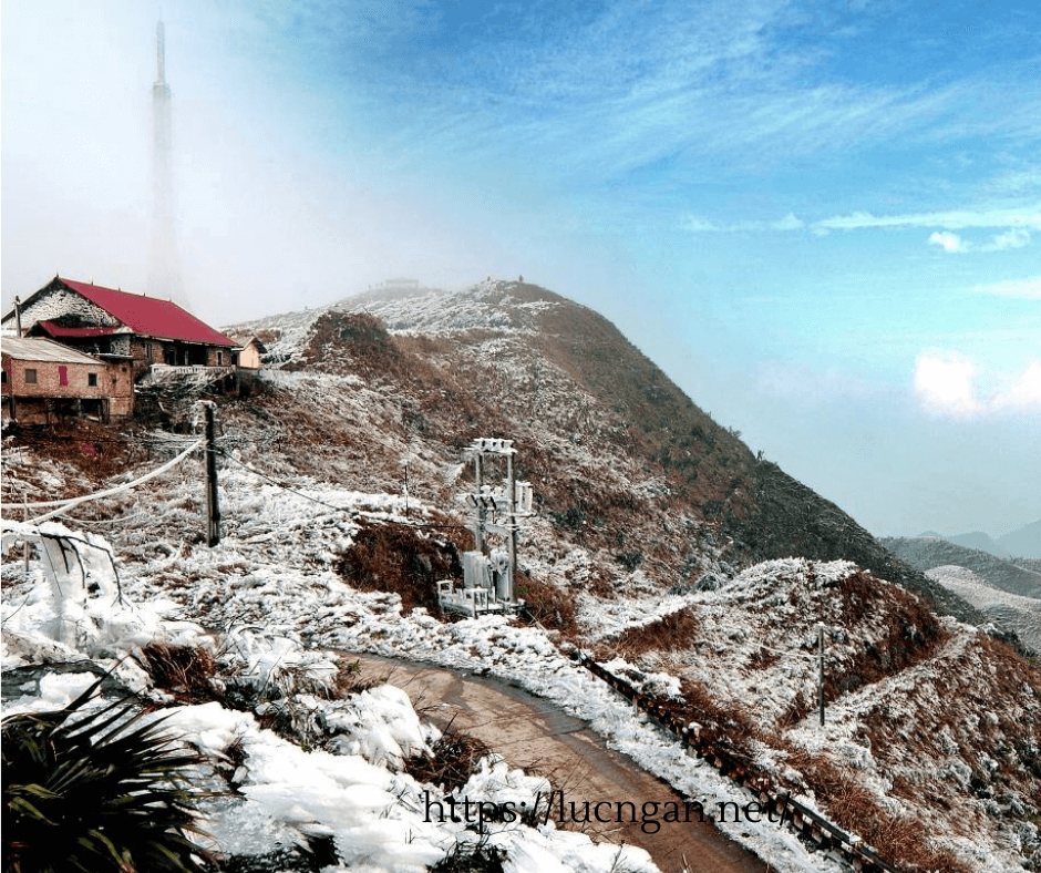 tuyết ở việt nam 