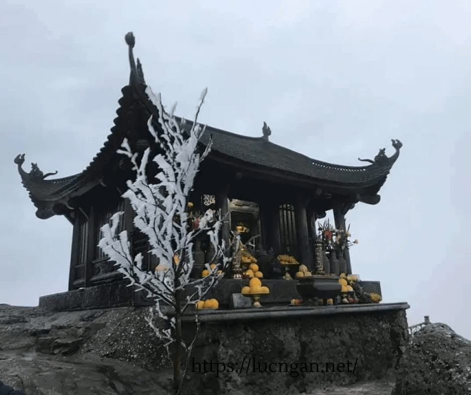 tuyết ở việt nam